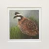 Morning Mist Quail Signed